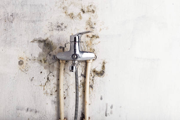 Professional Mold Remediation in Morris, OK
