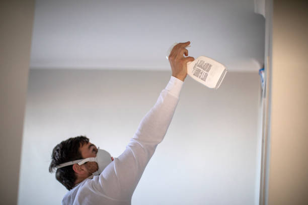 Best Bathroom Mold Remediation in Morris, OK
