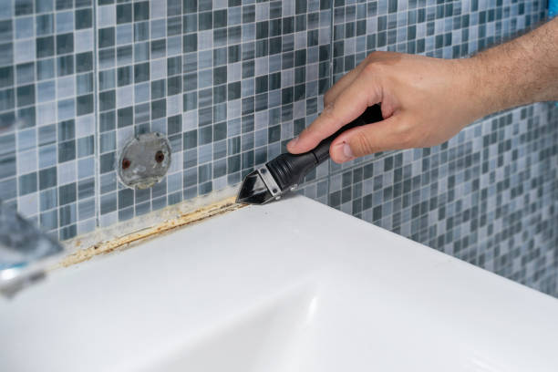 Best Insurance-Related Mold Remediation in Morris, OK